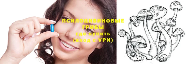гидропоника Новозыбков