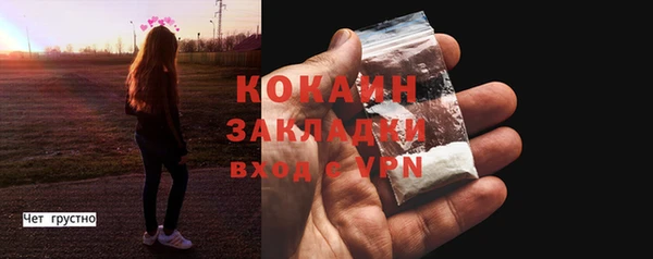 гидропоника Новозыбков