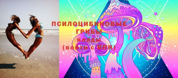 гидропоника Новозыбков