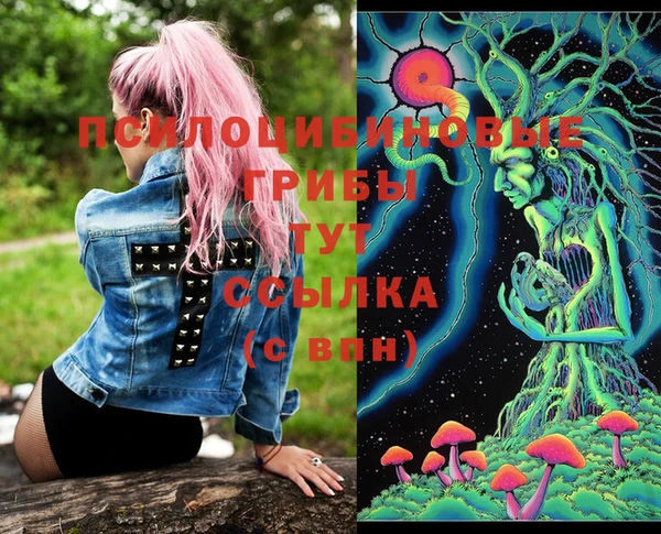 jwh Новодвинск